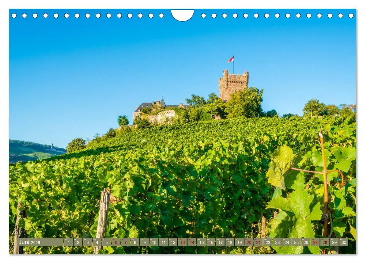 Bild: 9783457869635 | Rheinhessen-Impressionen (Wandkalender 2026 DIN A4 quer), CALVENDO...