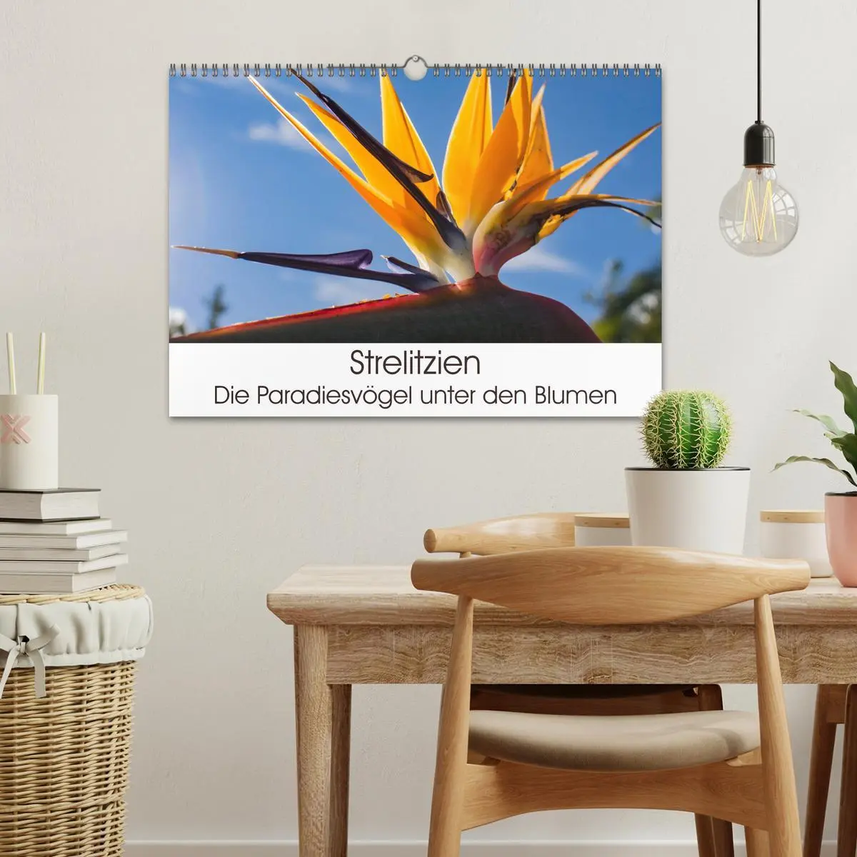 Bild: 9783457939635 | Strelitzien - die Paradiesvögel unter den Blumen (Wandkalender 2026...