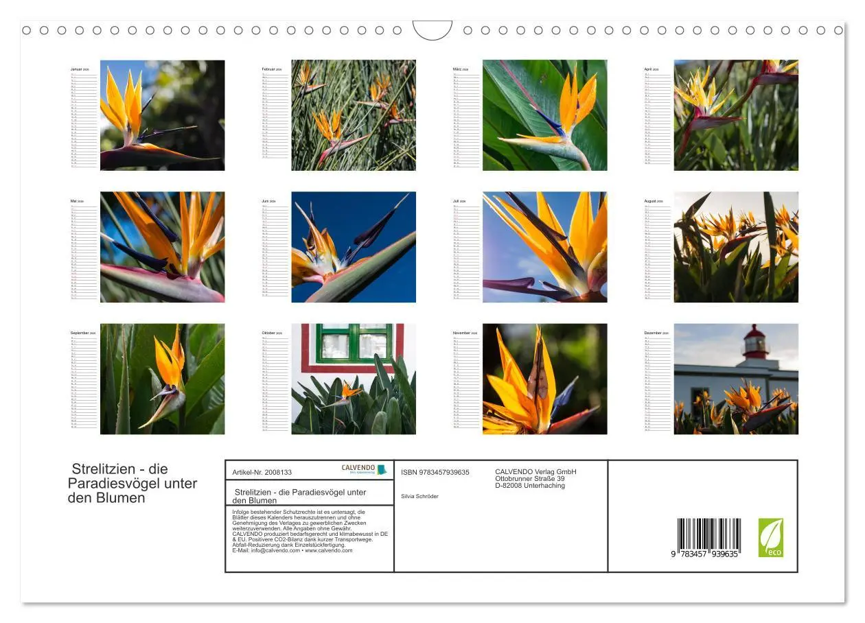Bild: 9783457939635 | Strelitzien - die Paradiesvögel unter den Blumen (Wandkalender 2026...