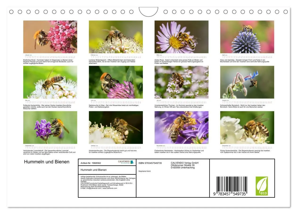 Bild: 9783457549735 | Hummeln und Bienen (Wandkalender 2026 DIN A4 quer), CALVENDO...