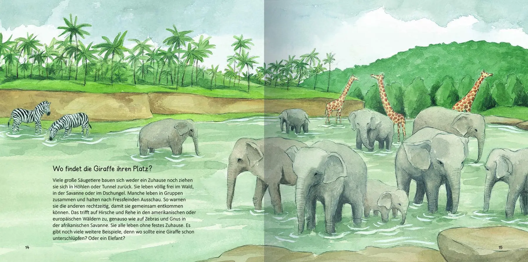 Bild: 9783833749735 | Wo die Tiere leben | Mit Freude entdecken | Alejandro Algarra | Buch