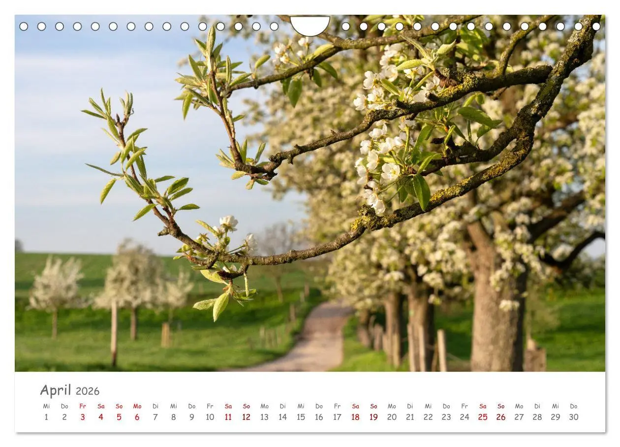 Bild: 9783457609835 | Heimat Entdecken: Bergisches Land (Wandkalender 2026 DIN A4 quer),...