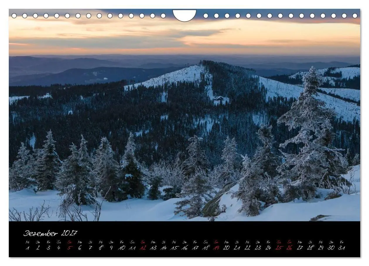 Bild: 9783594229835 | Bayerischer Wald (Wandkalender 2027 DIN A4 quer), CALVENDO...
