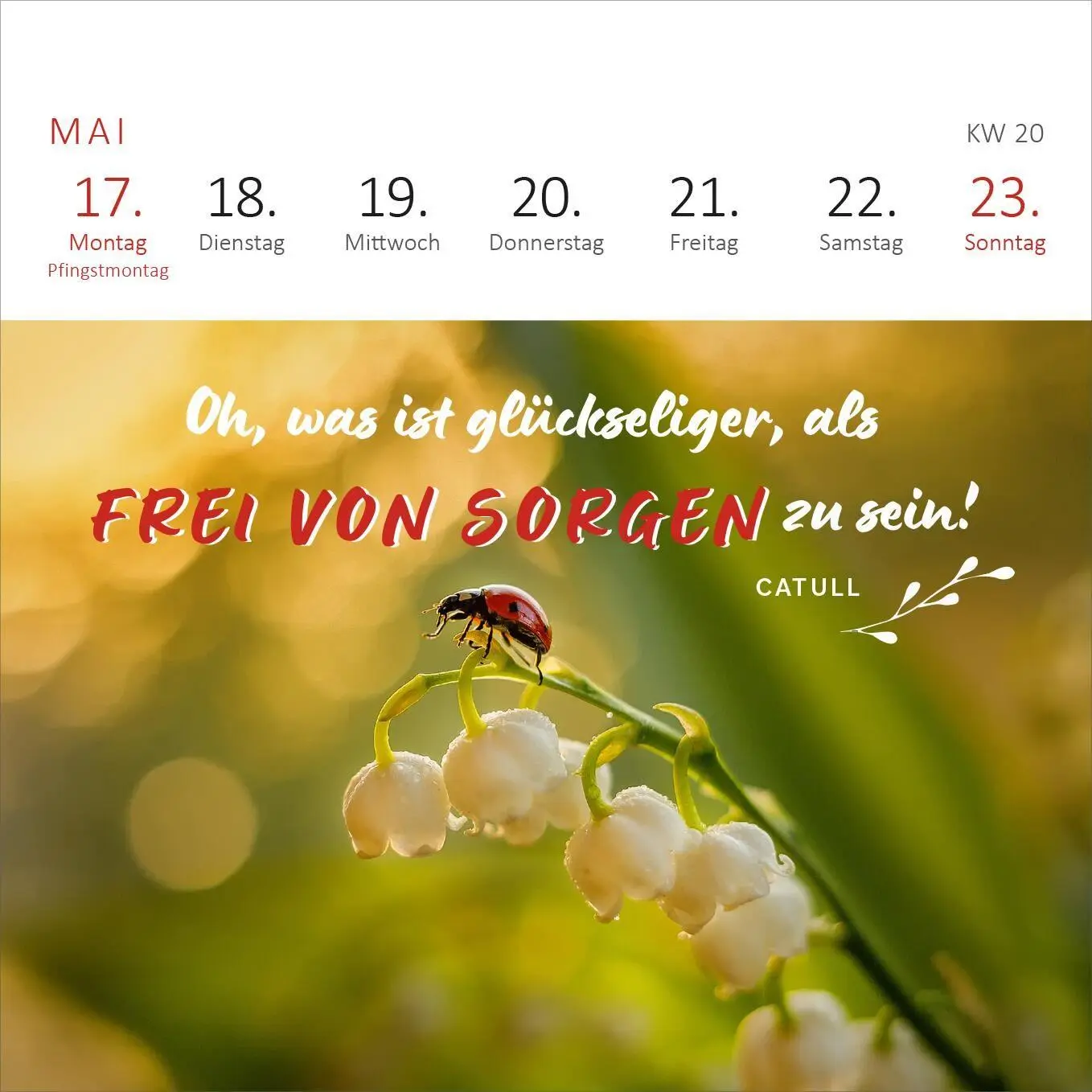 Bild: 4014489139935 | Mini-Wochenkalender 365 Tage Sonne im Herzen 2027 | Kalender | 108 S.