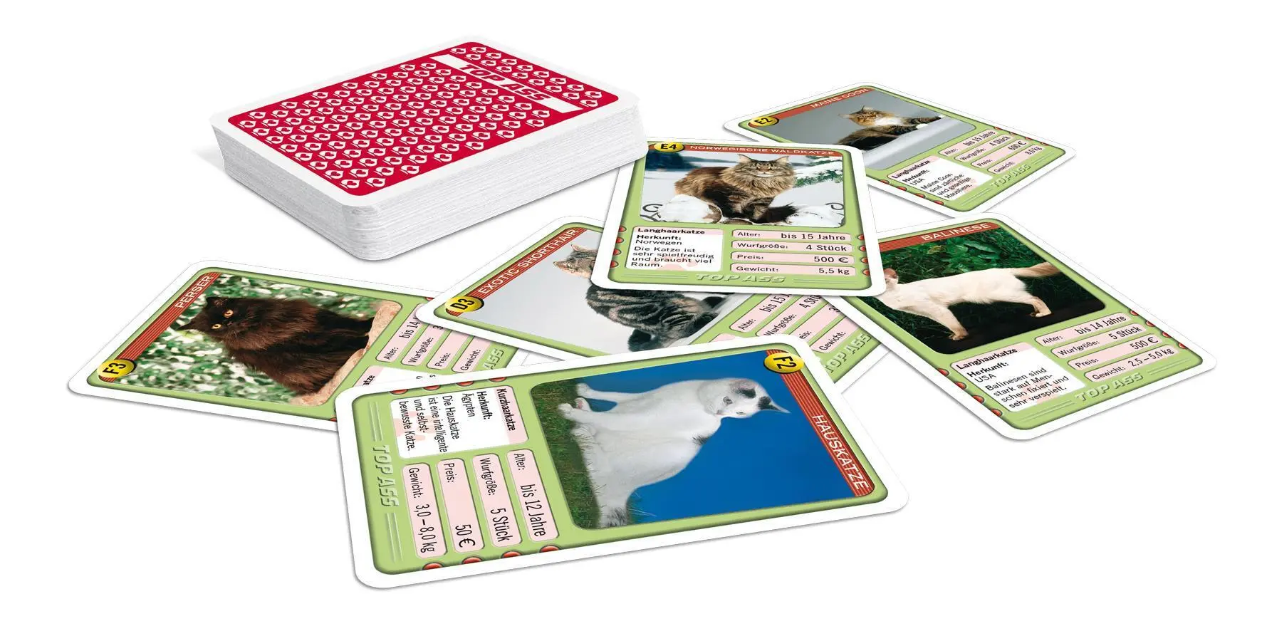 Bild: 4042677719935 | TOP ASS - Katzen | Spielkartenfabrik Altenburg GmbH | Spiel | 22571993