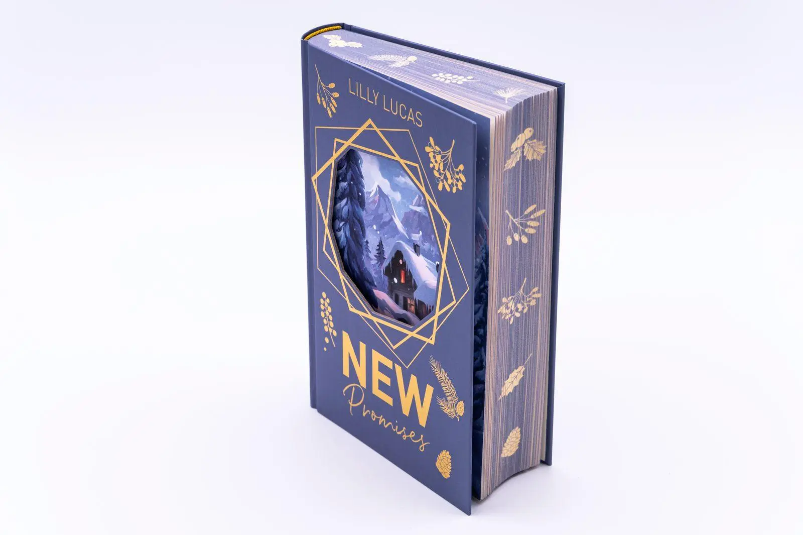 Bild: 9783426570036 | New Promises | Lilly Lucas | Buch | Green Valley Love | 340 S. | 2026