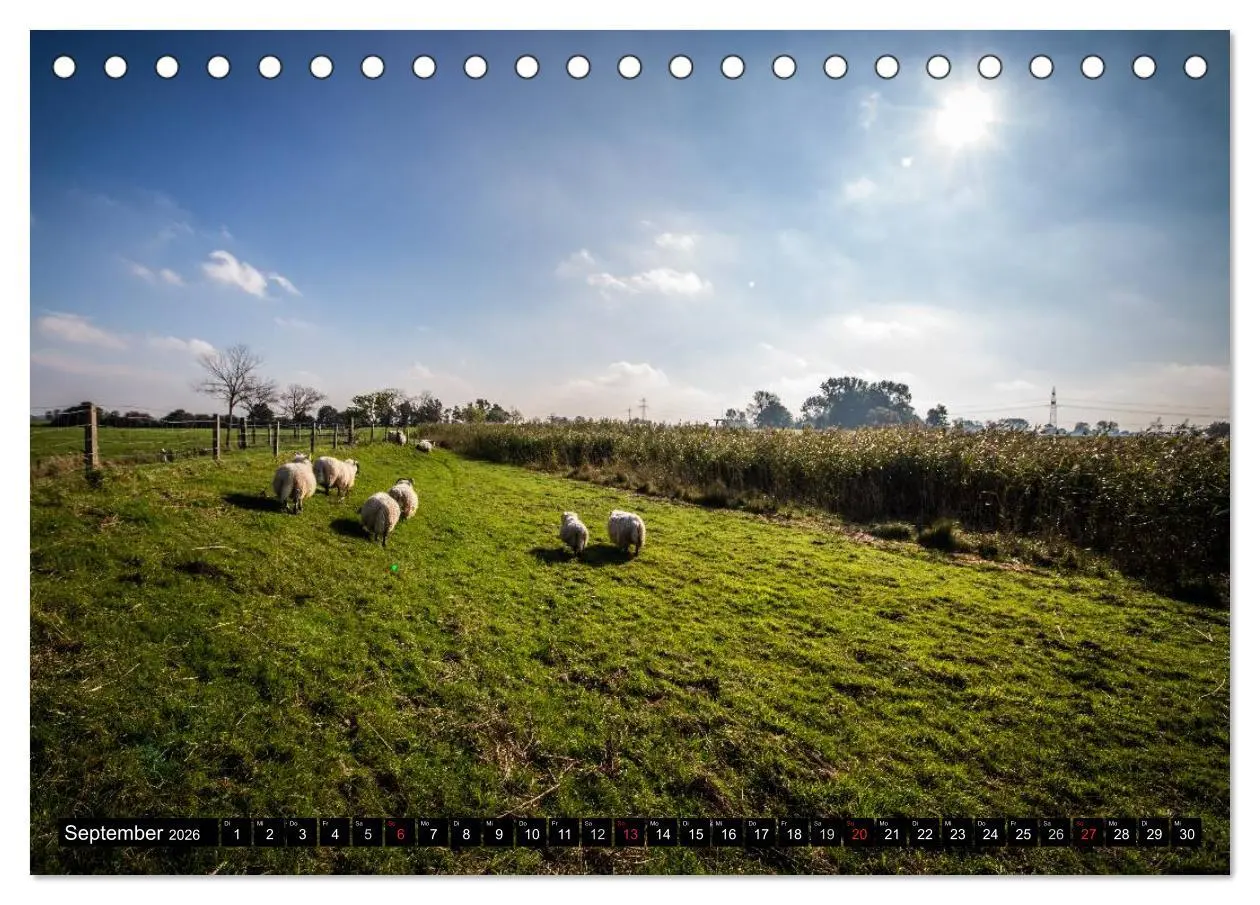 Bild: 9783516110036 | Schönes Ostfriesland (Tischkalender 2026 DIN A5 quer), CALVENDO...
