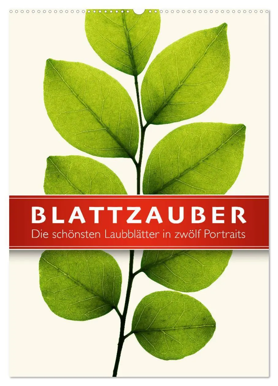 Cover: 9783516420036 | Blattzauber (Wandkalender 2026 DIN A2 hoch), CALVENDO Monatskalender
