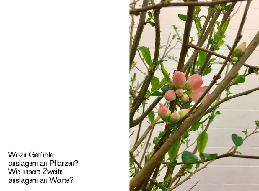 Bild: 9783962160036 | Blumen sind geil | Tine Melzer (u. a.) | Taschenbuch | 128 S. | 2020