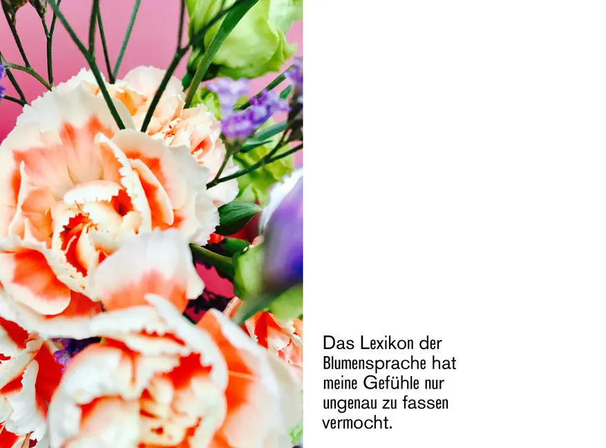 Bild: 9783962160036 | Blumen sind geil | Tine Melzer (u. a.) | Taschenbuch | 128 S. | 2020