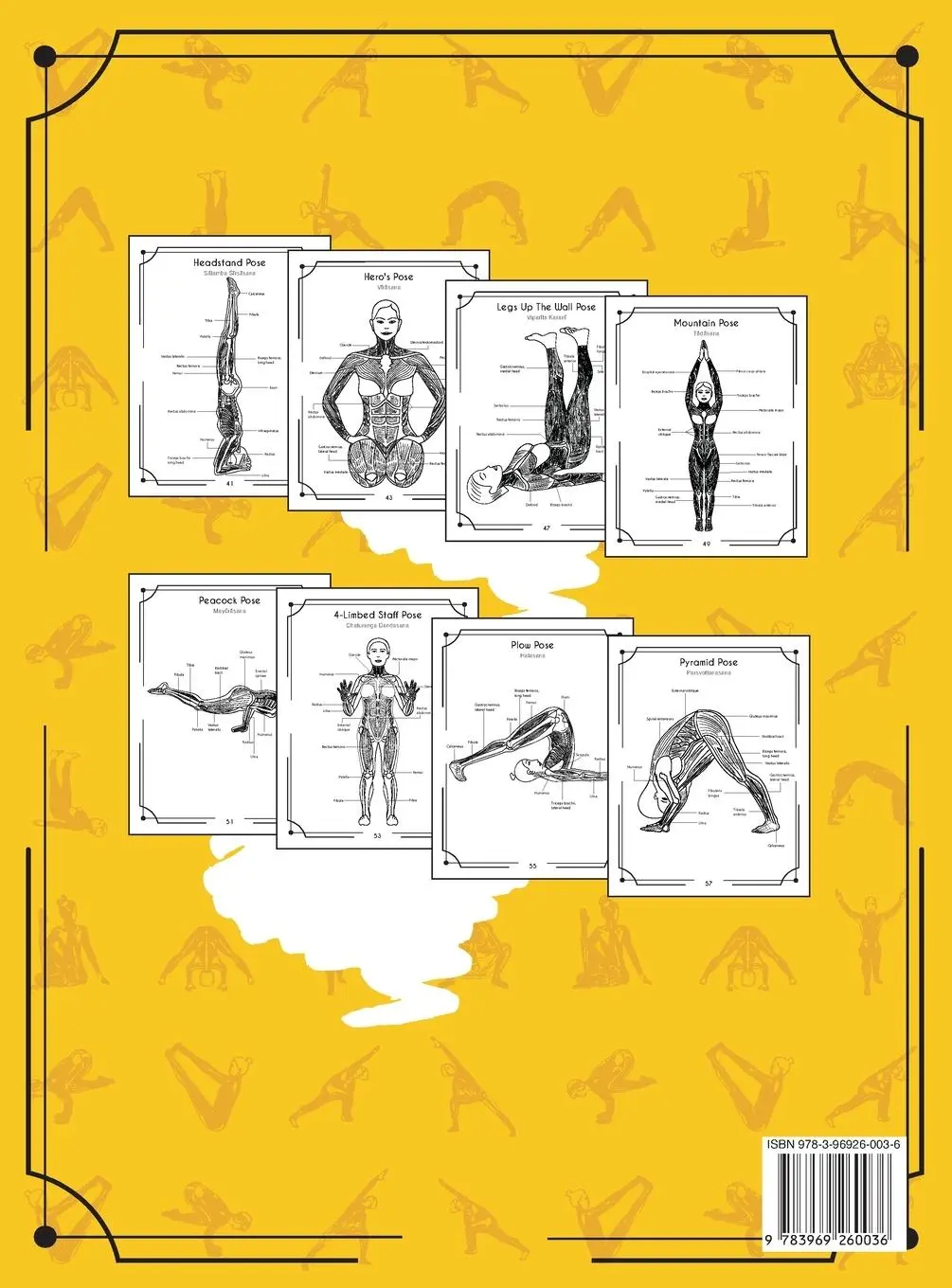 Rückseite: 9783969260036 | Yoga Anatomy Coloring Book | A New View At Yoga Poses | Rochester
