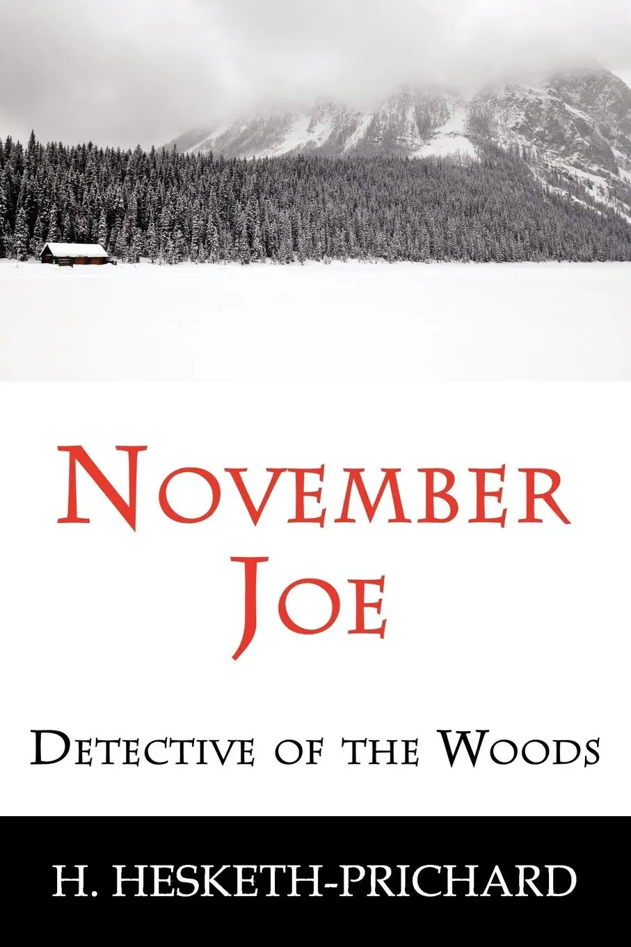 Cover: 9781616460136 | November Joe | Detective of the Woods (Mystery Classic) | Taschenbuch