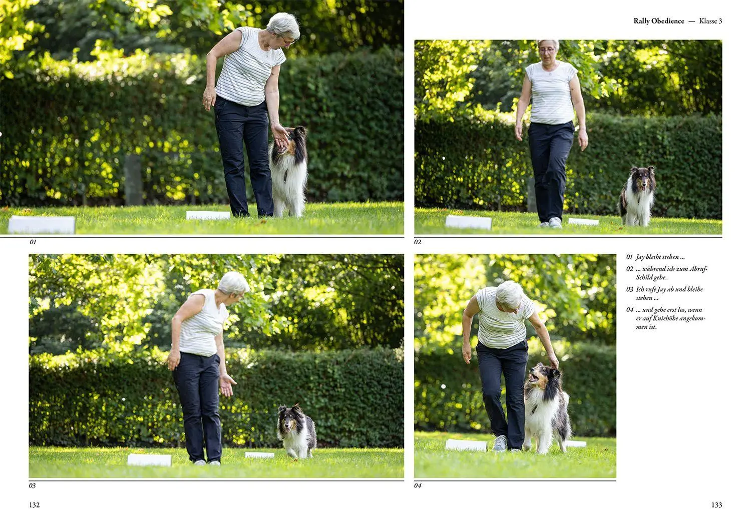 Bild: 9783440180136 | Rally Obedience | Sandra Vonderstein | Buch | 256 S. | Deutsch | 2024