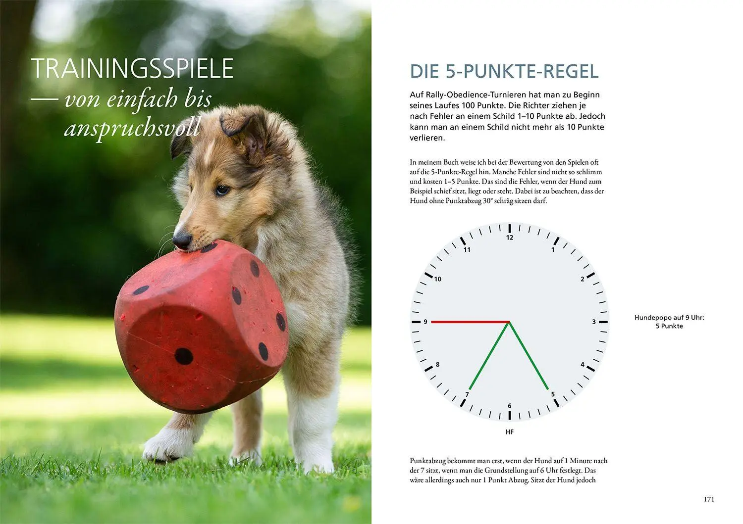 Bild: 9783440180136 | Rally Obedience | Sandra Vonderstein | Buch | 256 S. | Deutsch | 2024