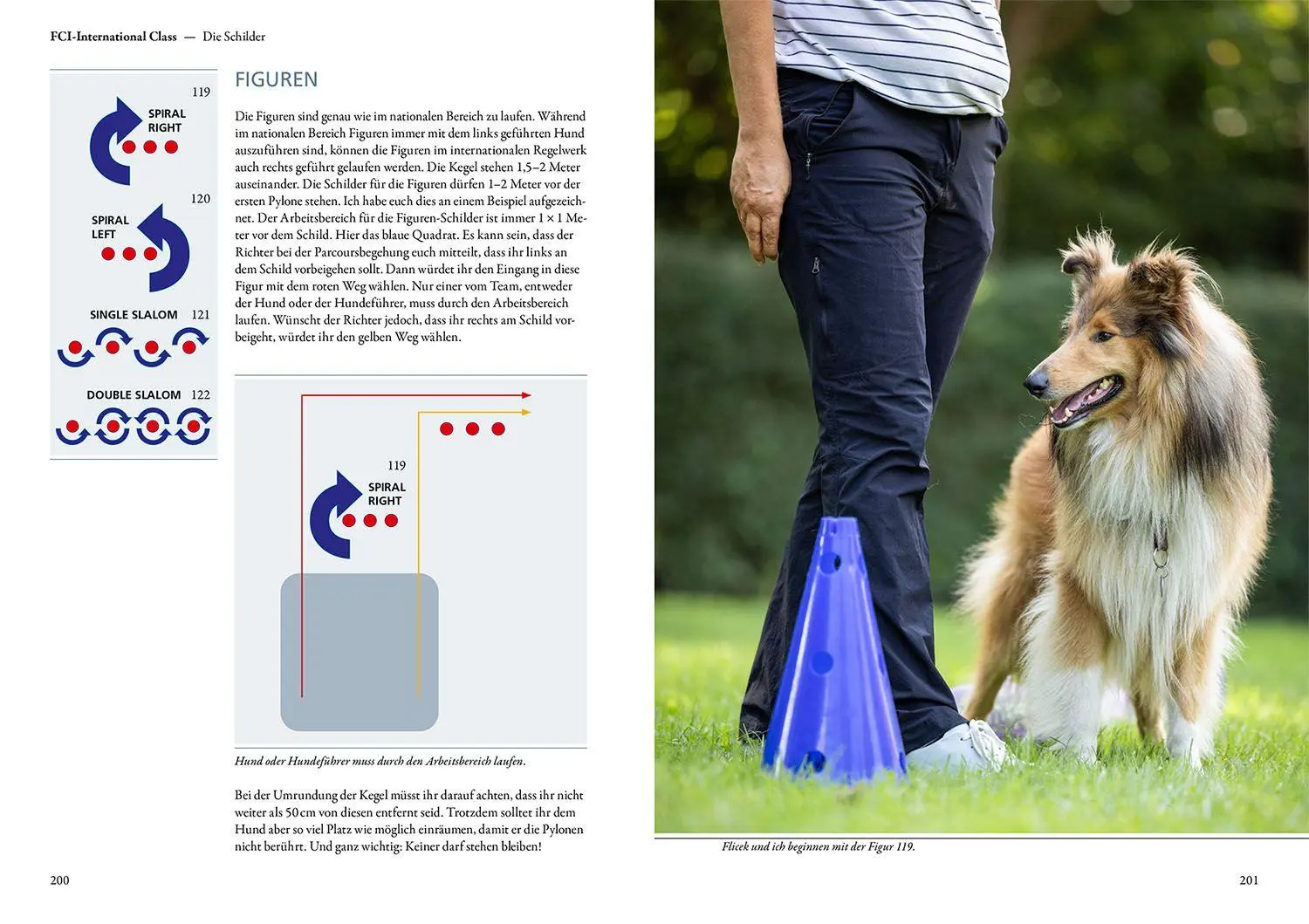Bild: 9783440180136 | Rally Obedience | Sandra Vonderstein | Buch | 256 S. | Deutsch | 2024