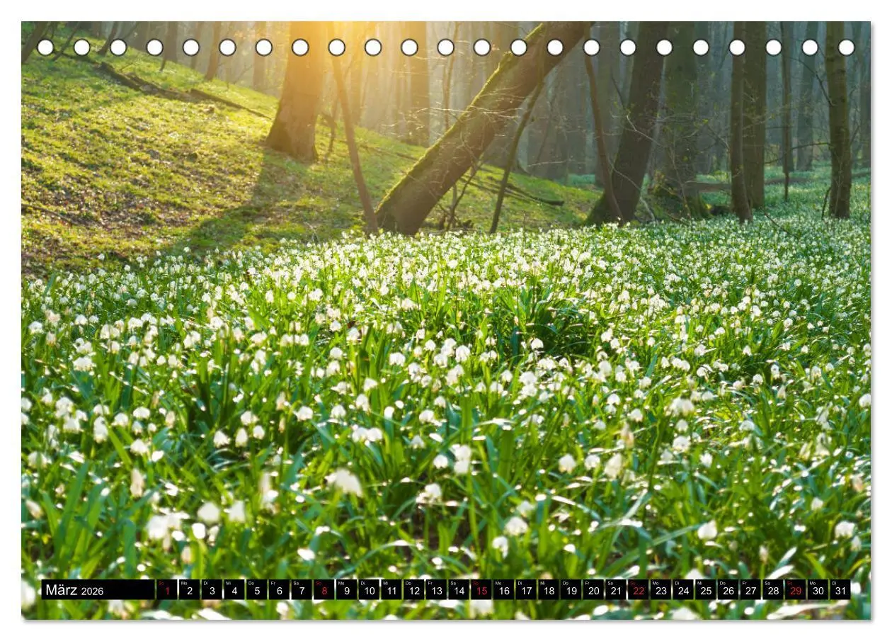 Bild: 9783457700136 | Jena und Umgebung - Von Jena bis Dornburg (Tischkalender 2026 DIN...
