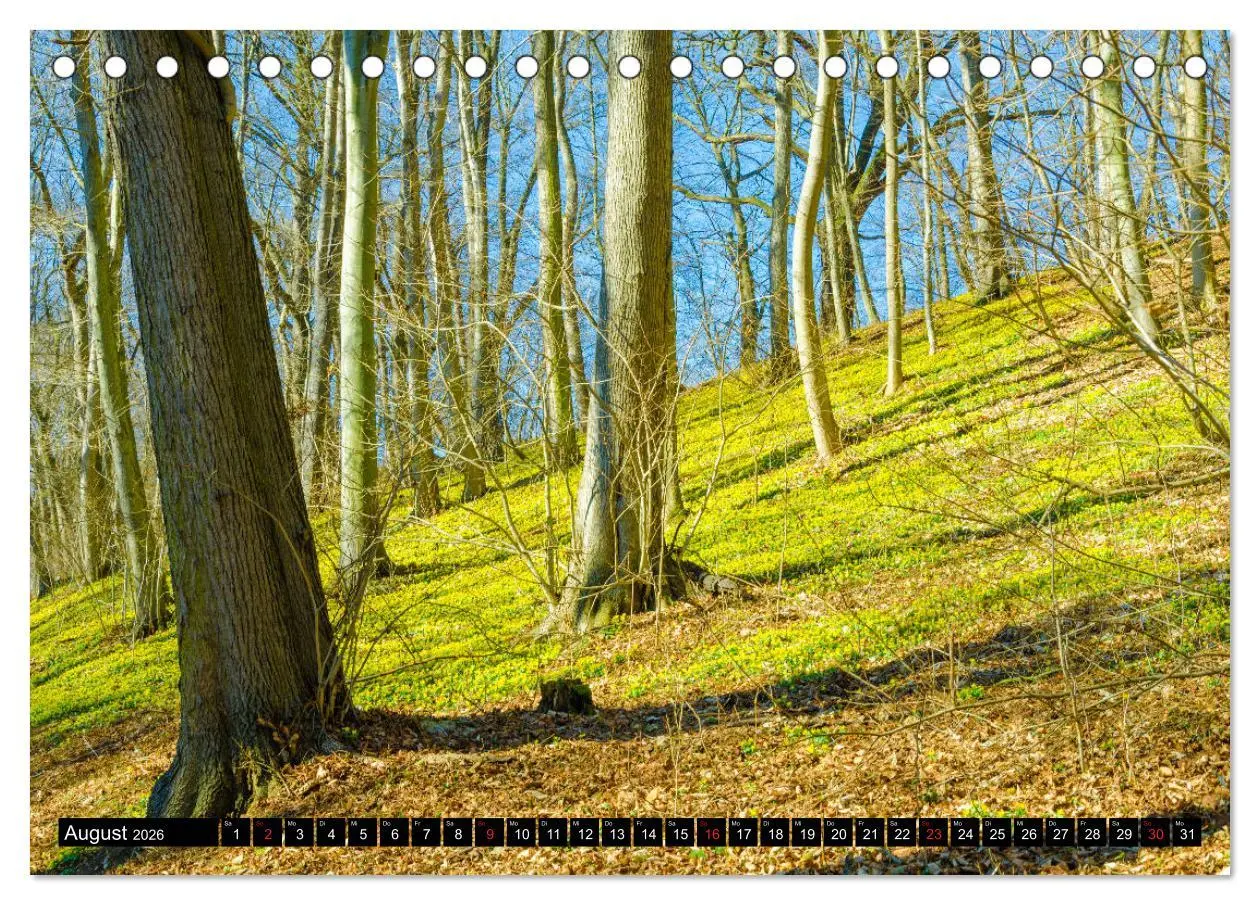 Bild: 9783457700136 | Jena und Umgebung - Von Jena bis Dornburg (Tischkalender 2026 DIN...