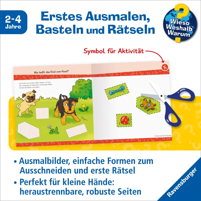 Bild: 9783473600236 | Wieso? Weshalb? Warum? junior AKTIV: Tierkinder | Elke Broska | Buch