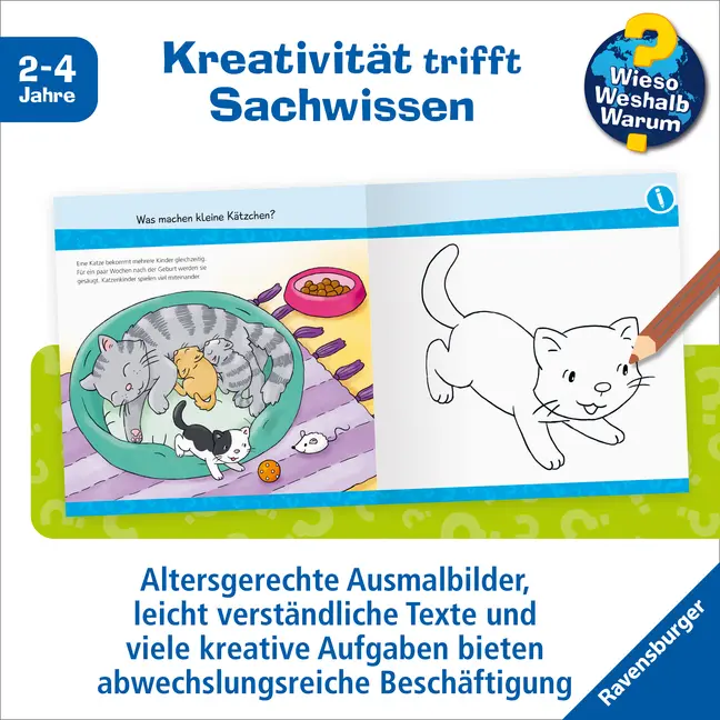 Bild: 9783473600236 | Wieso? Weshalb? Warum? junior AKTIV: Tierkinder | Elke Broska | Buch