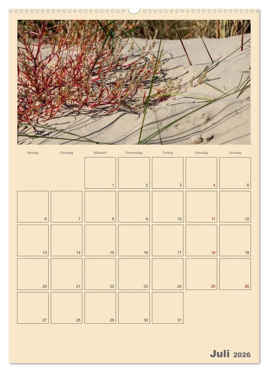 Bild: 9783516330236 | Usedom Ostsee - Terminplaner (Wandkalender 2026 DIN A2 hoch),...