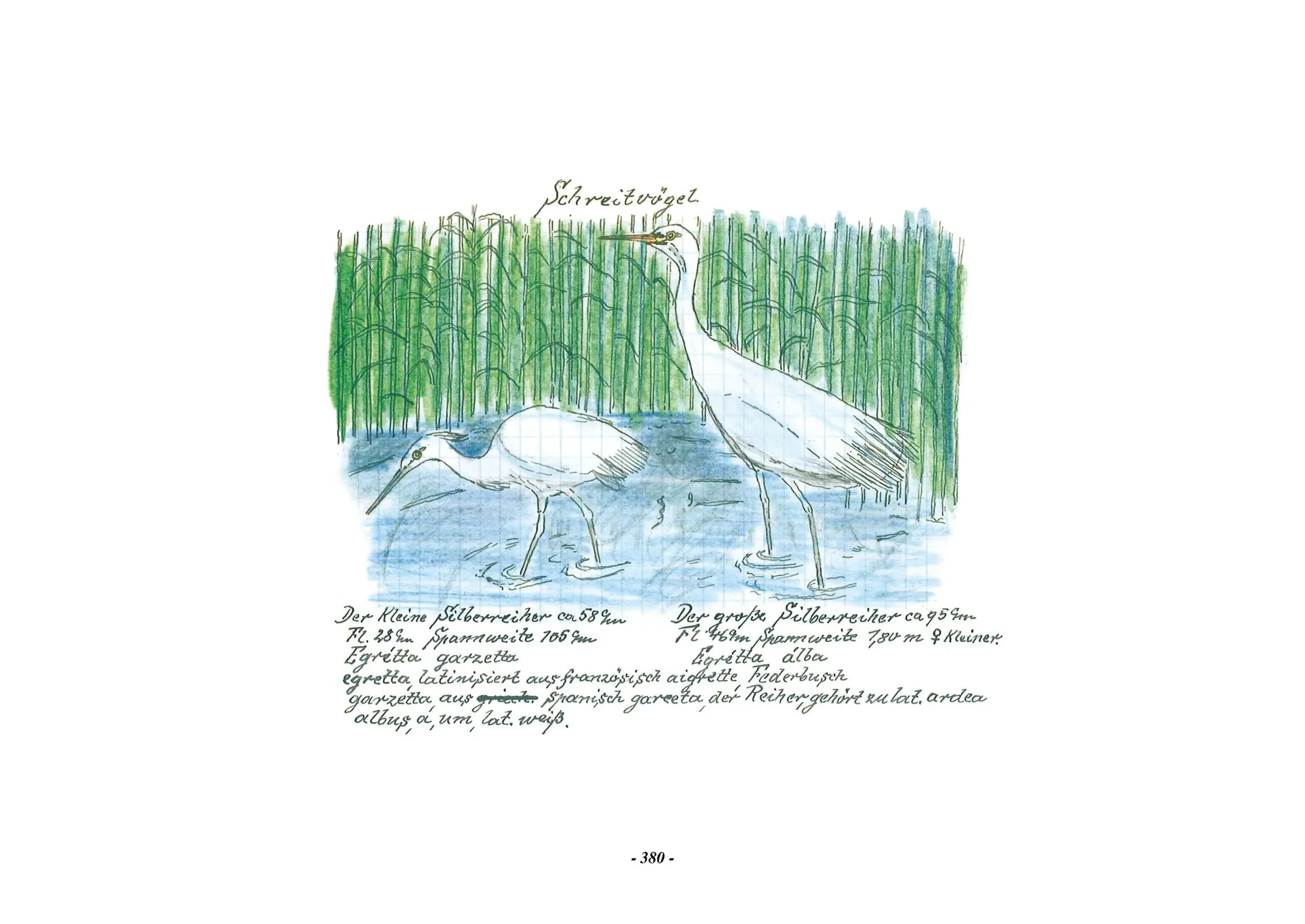 Bild: 9783968490236 | Das Vogel-Album. 1950 | von Karl Wenzel | Karl Wenzel | Buch | 544 S.