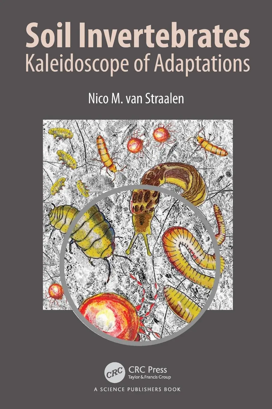 Cover: 9781032480336 | Soil Invertebrates | Kaleidoscope of Adaptations | Straalen | Buch
