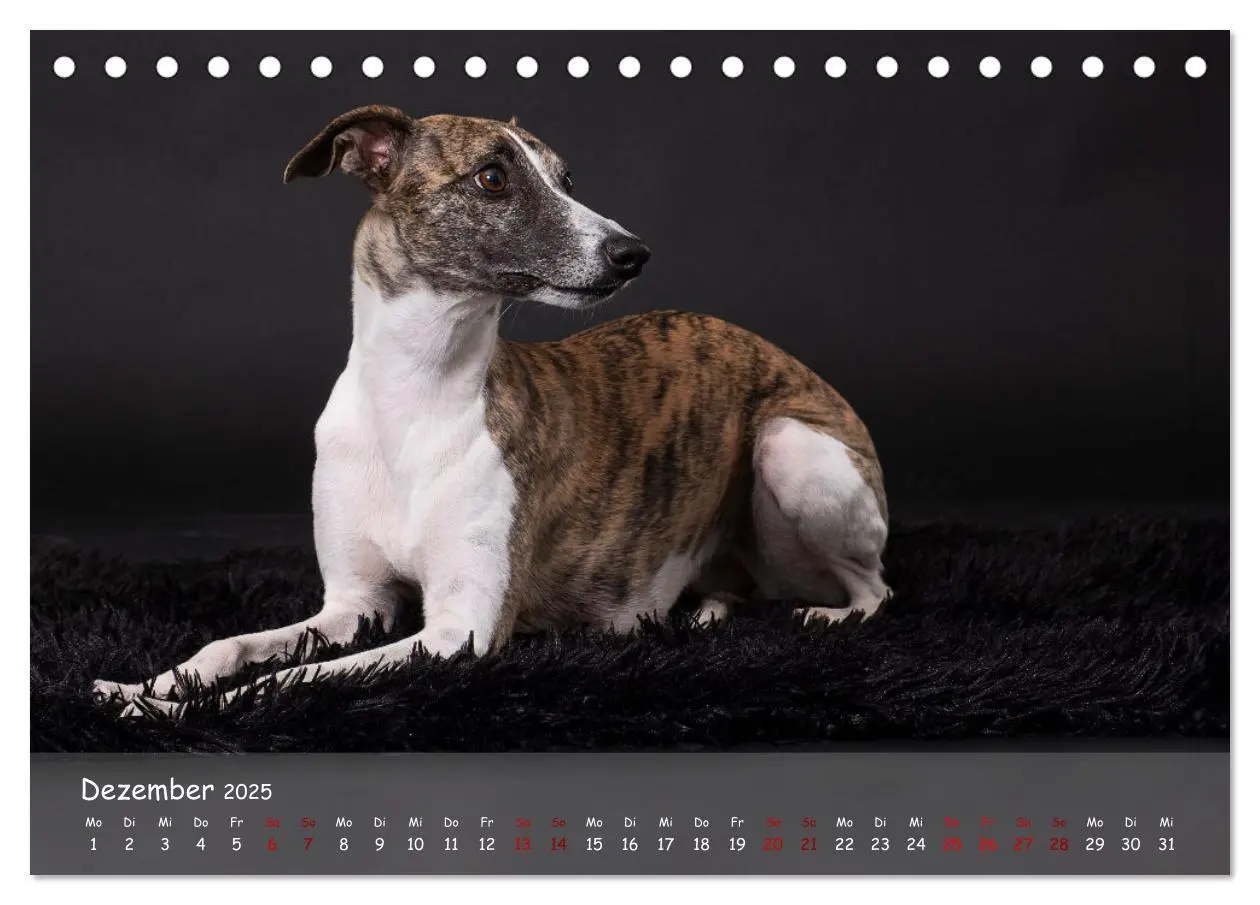 Bild: 9783383890536 | Whippets - Seelenhunde fürs Leben (Tischkalender 2025 DIN A5 quer),...