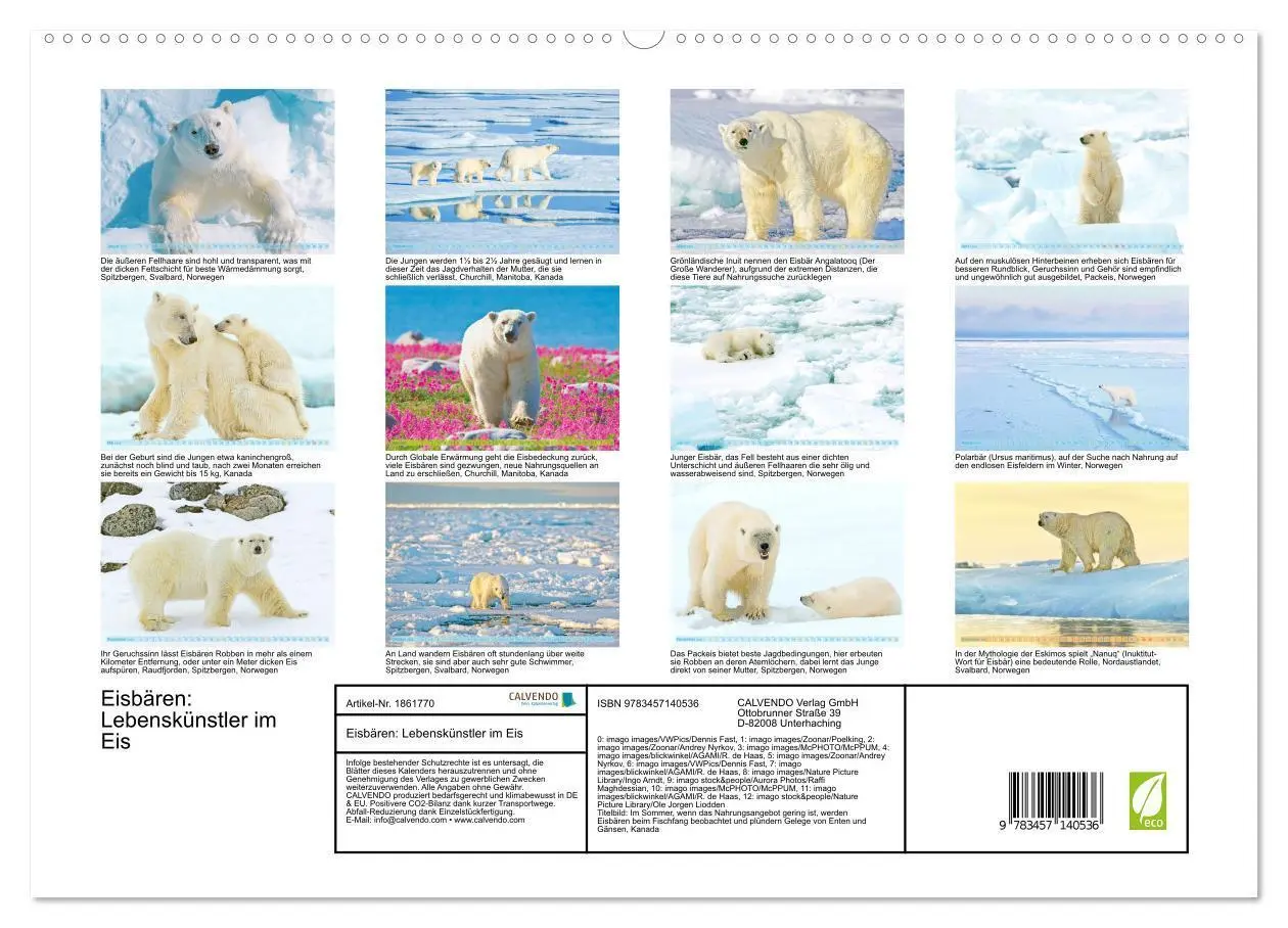 Bild: 9783457140536 | Eisbären: Lebenskünstler im Eis (hochwertiger Premium Wandkalender...