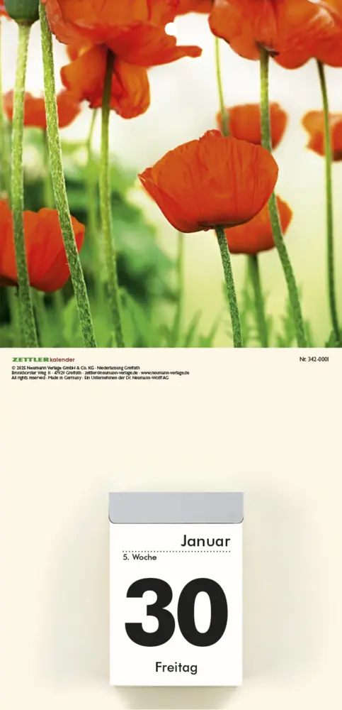 Bild: 4069095000636 | Bildrückwände für Typ 301 und 302 Blumen soriert 2027 | Kalender