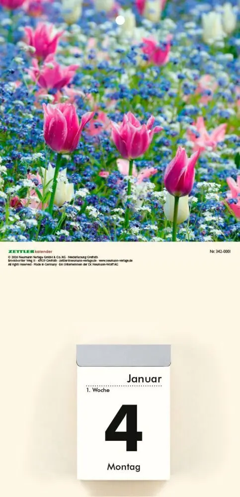 Bild: 4069095000636 | Bildrückwände für Typ 301 und 302 Blumen soriert 2027 | Kalender