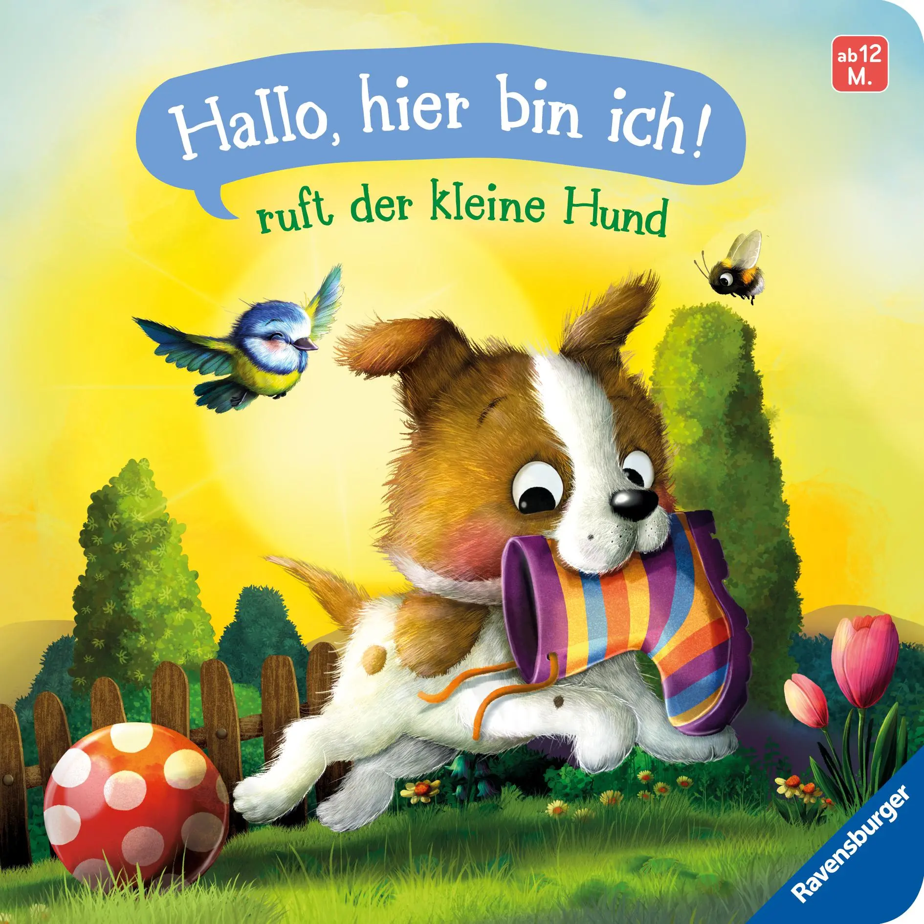 Cover: 9783473420636 | "Hallo, hier bin ich!", ruft der kleine Hund | Sabine Praml | Buch