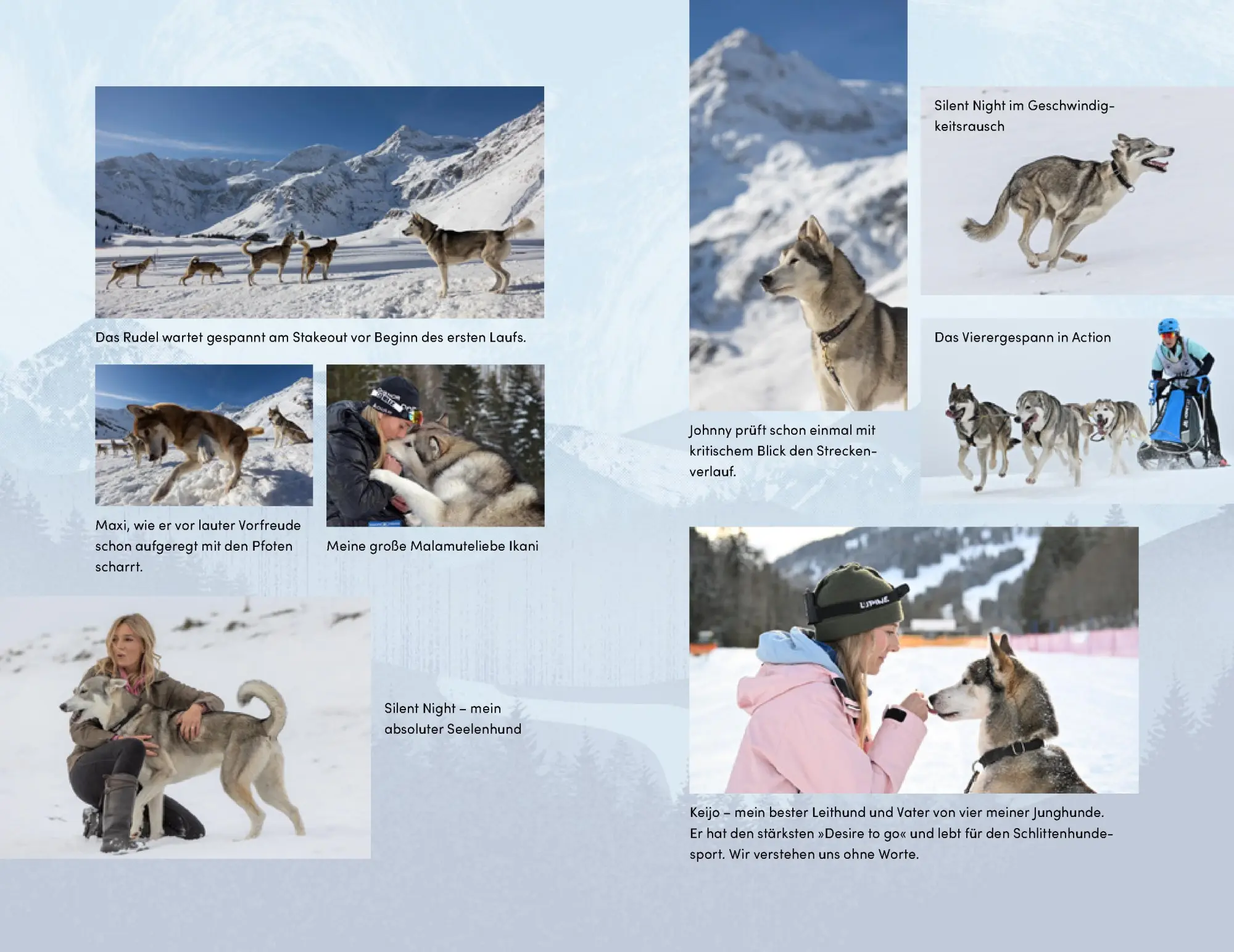 Bild: 9783989620636 | Wilder Ruf | Marina Brutscher | Taschenbuch | 272 S. | Deutsch | 2026
