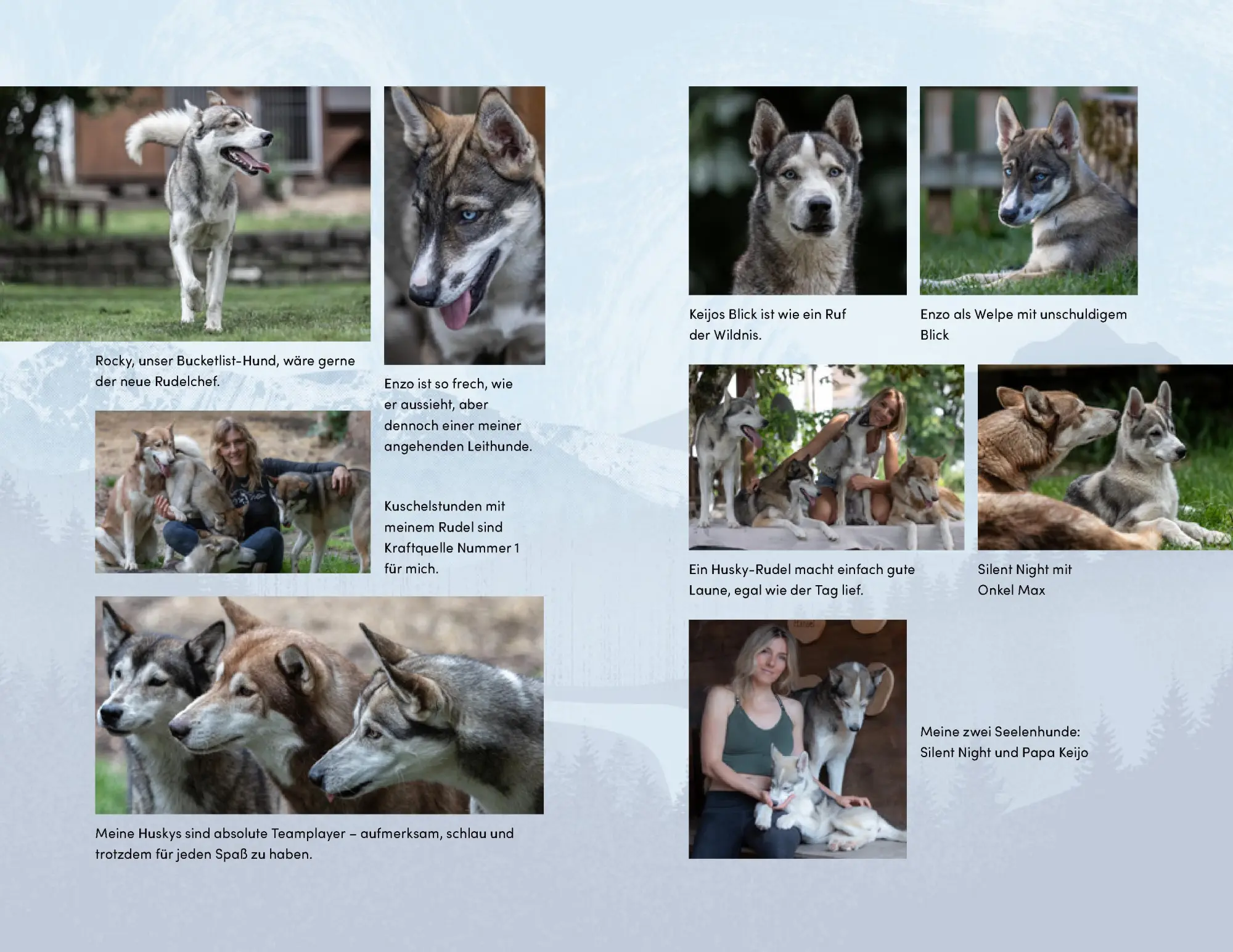 Bild: 9783989620636 | Wilder Ruf | Marina Brutscher | Taschenbuch | 272 S. | Deutsch | 2026
