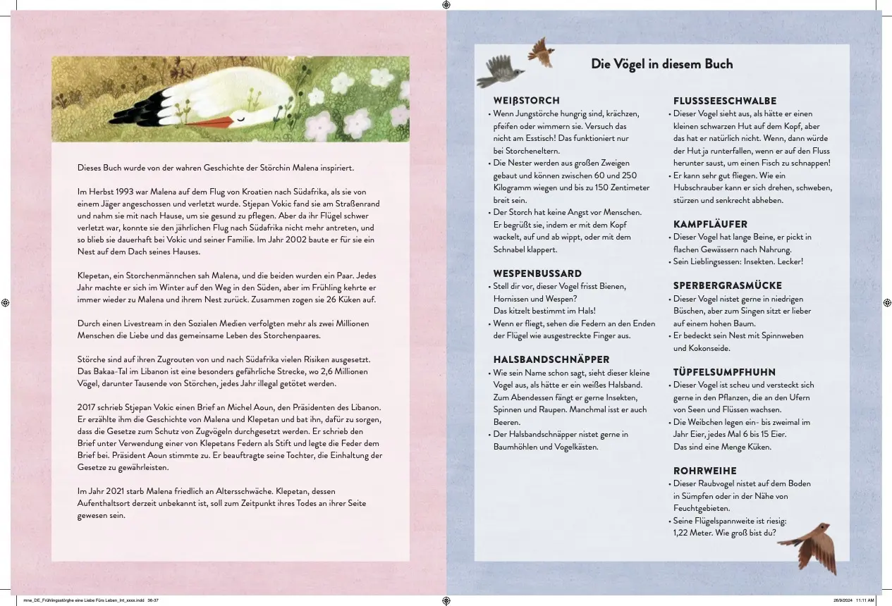 Bild: 9783039340736 | Frühlingsstörche | Carol Joy Munro | Buch | 40 S. | Deutsch | 2025