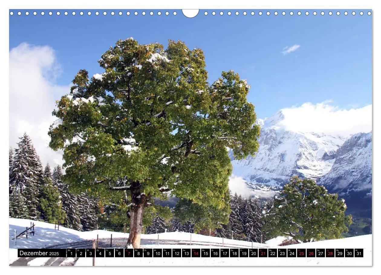 Bild: 9783435270736 | Berge im Berner Oberland (Wandkalender 2025 DIN A3 quer), CALVENDO...