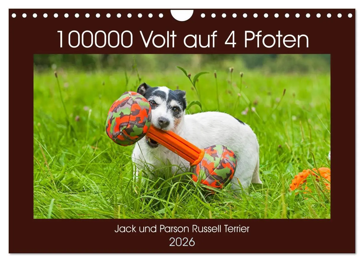 Cover: 9783457810736 | 100000 Volt auf vier Pfoten - Jack und Parson Russell Terrier...