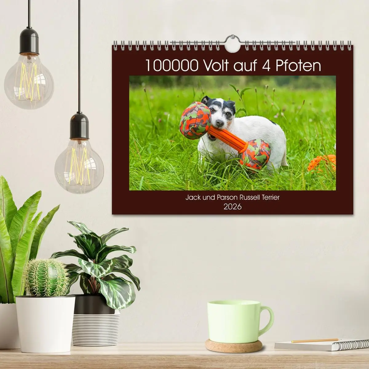 Bild: 9783457810736 | 100000 Volt auf vier Pfoten - Jack und Parson Russell Terrier...