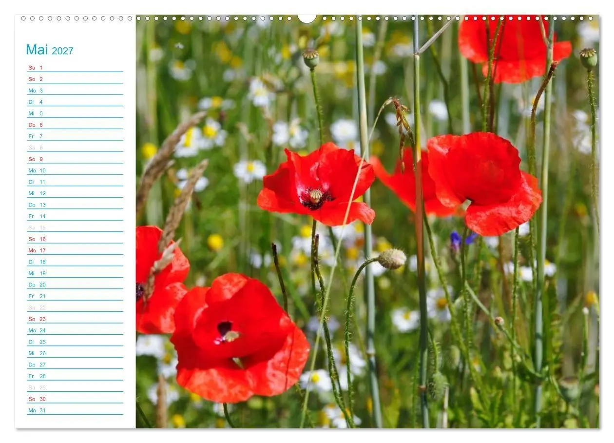 Bild: 9783569920736 | Wunderschöner Spreewald (Wandkalender 2027 DIN A2 quer), CALVENDO...