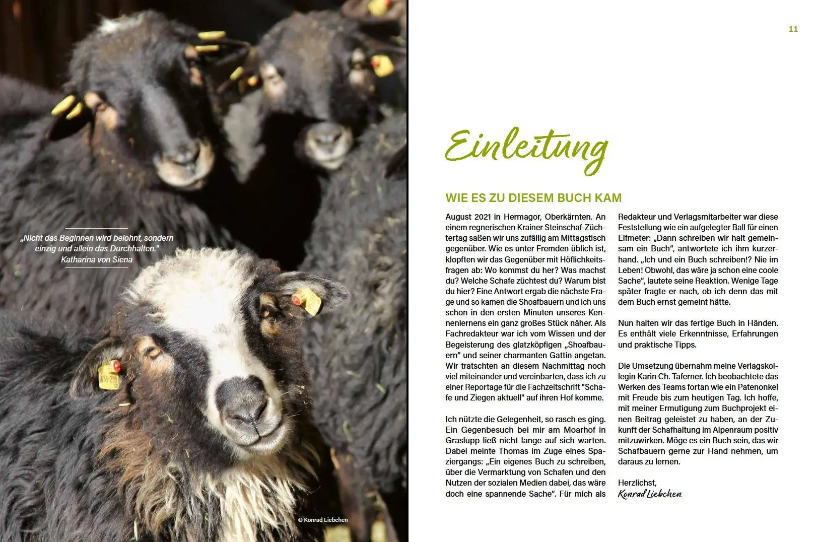 Bild: 9783702020736 | Alles vom Schaf! | Erfolgreich produzieren &amp; selbst vermarkten | Buch