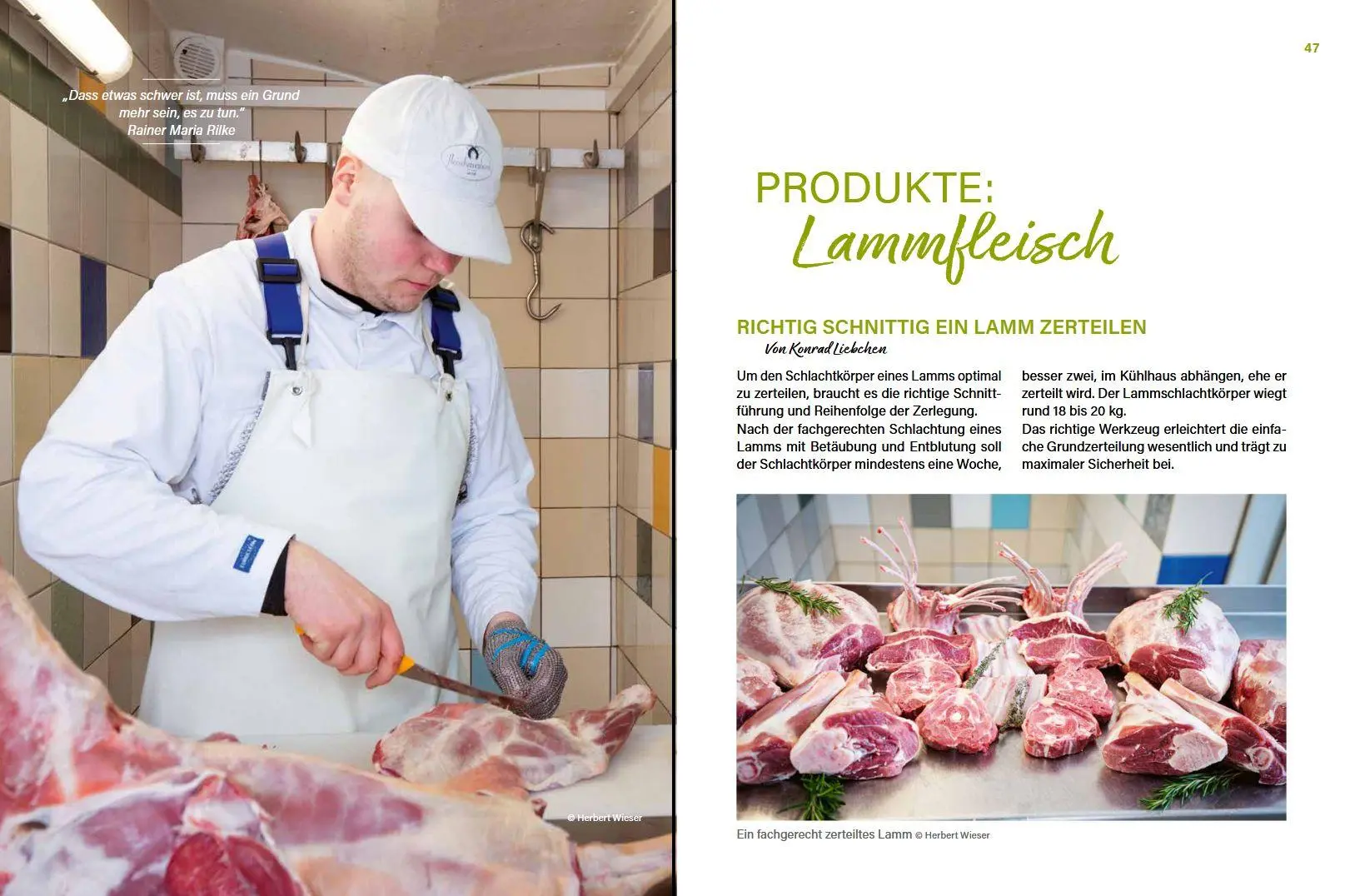 Bild: 9783702020736 | Alles vom Schaf! | Erfolgreich produzieren &amp; selbst vermarkten | Buch