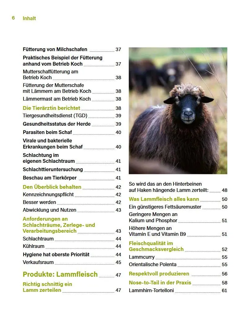 Bild: 9783702020736 | Alles vom Schaf! | Erfolgreich produzieren &amp; selbst vermarkten | Buch