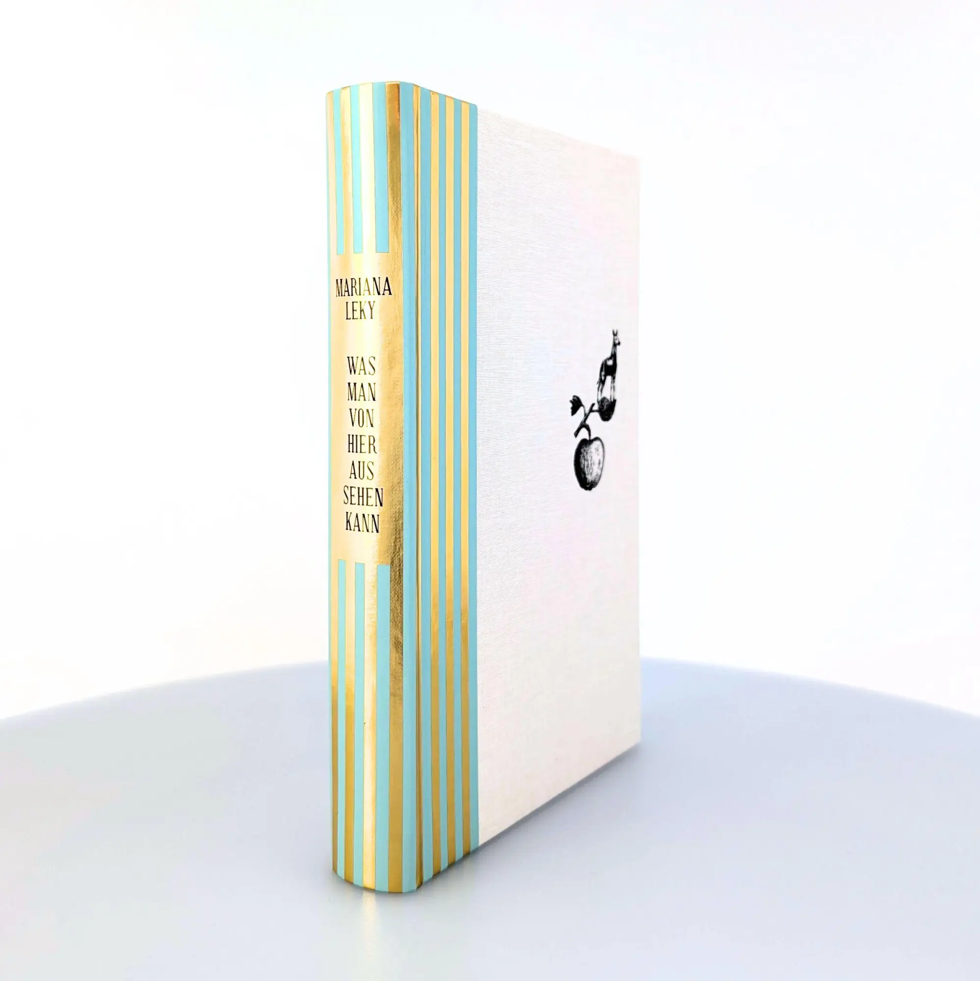 Bild: 9783755800736 | Was man von hier aus sehen kann | Mariana Leky | Buch | Schuber | 2025