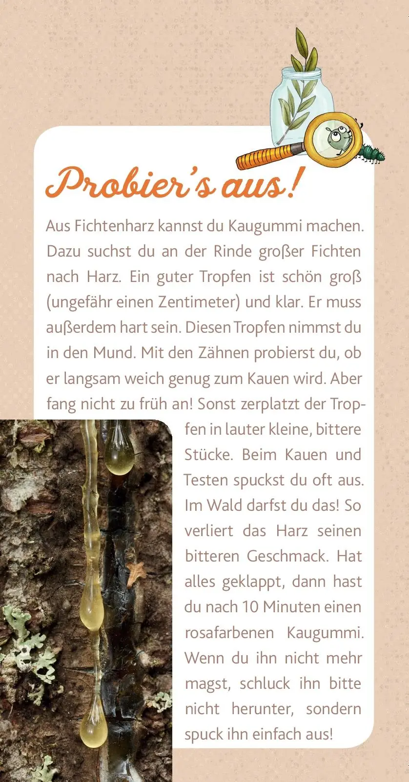 Bild: 4260512180836 | Peter &amp; Piet Meine großen Waldexperimente | Peter Wohlleben | Box