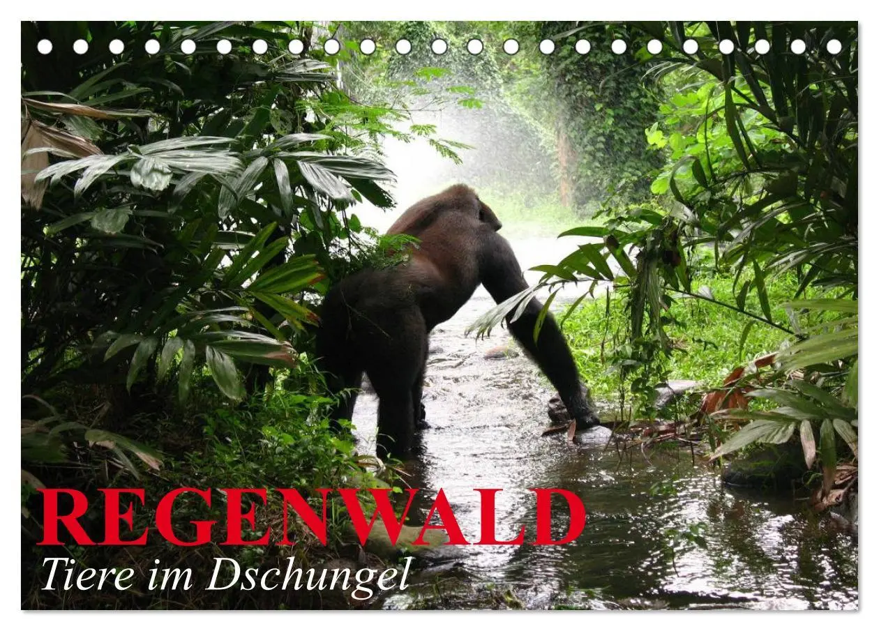 Cover: 9783516130836 | Regenwald ¿ Tiere im Dschungel (Tischkalender 2026 DIN A5 quer),...
