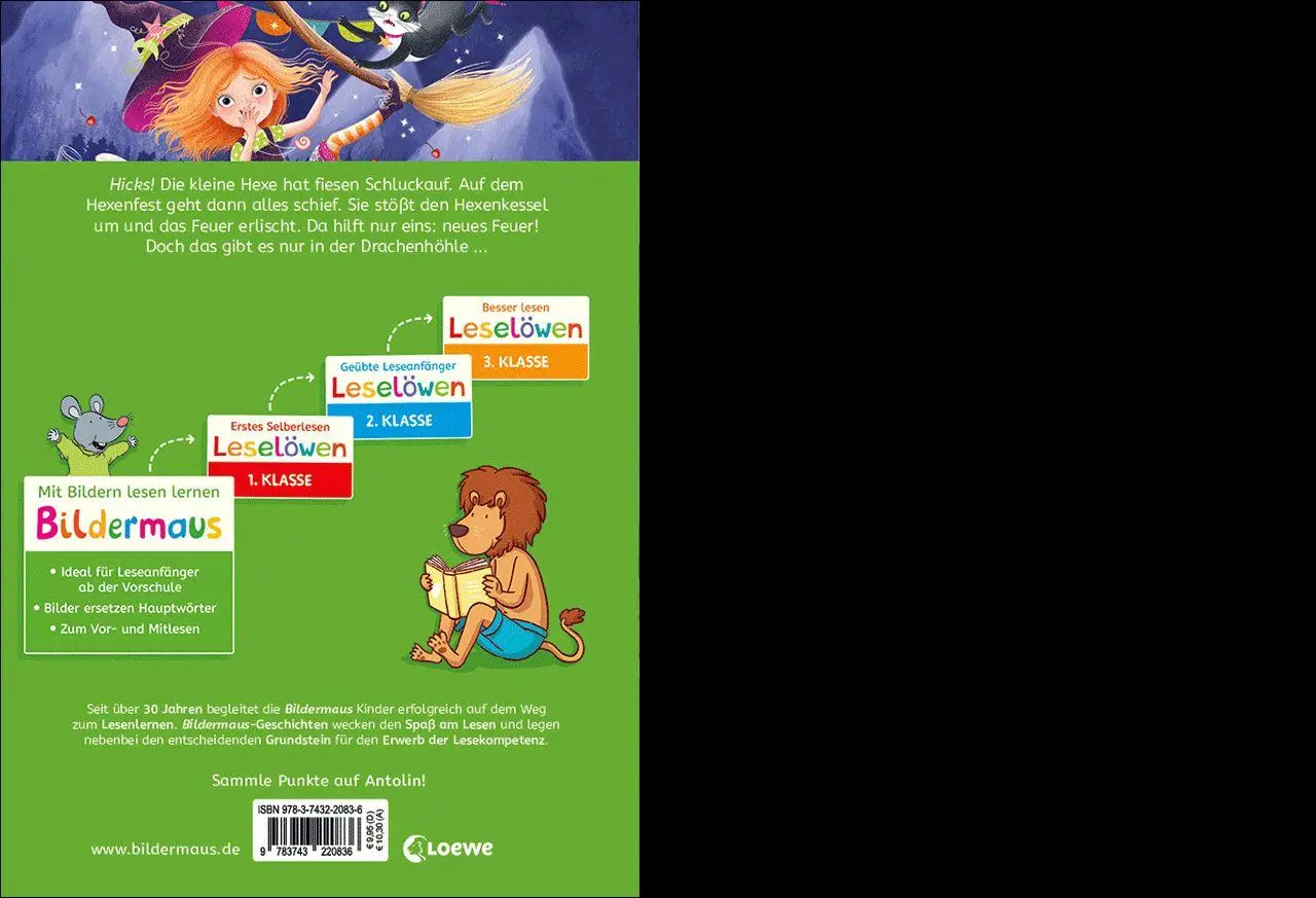 Bild: 9783743220836 | Bildermaus - Aufregung beim Hexenfest | Eva Hierteis | Buch | 48 S.