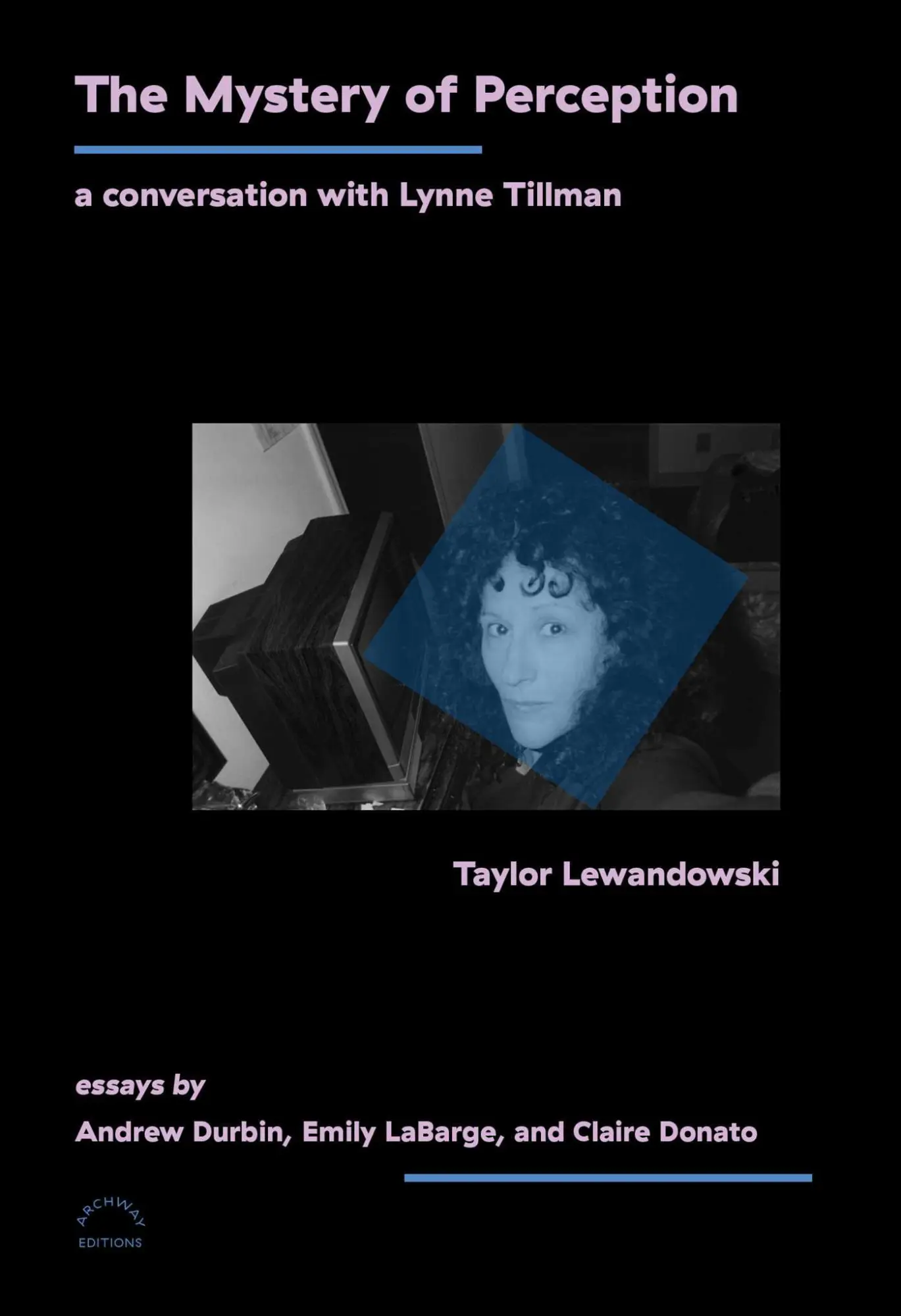 Cover: 9781648230936 | The Mystery of Perception | A Conversation with Lynne Tillman | Buch