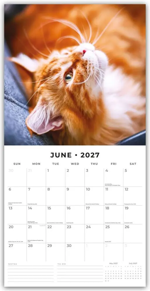 Bild: 9781837010936 | Ginger Cats - Rote Katzen - Gingerkatzen 2027 - 16-Monatskalender