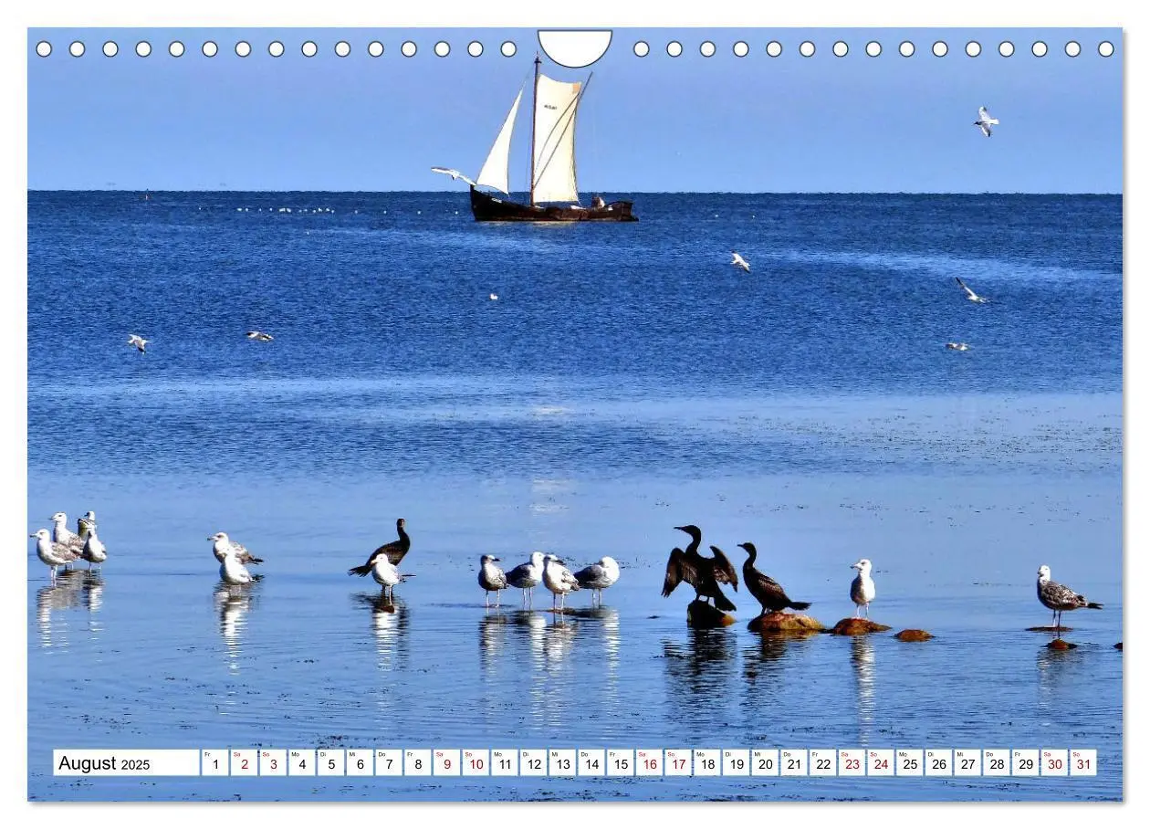 Bild: 9783435010936 | Unter Segeln übers Kurische Haff (Wandkalender 2025 DIN A4 quer),...