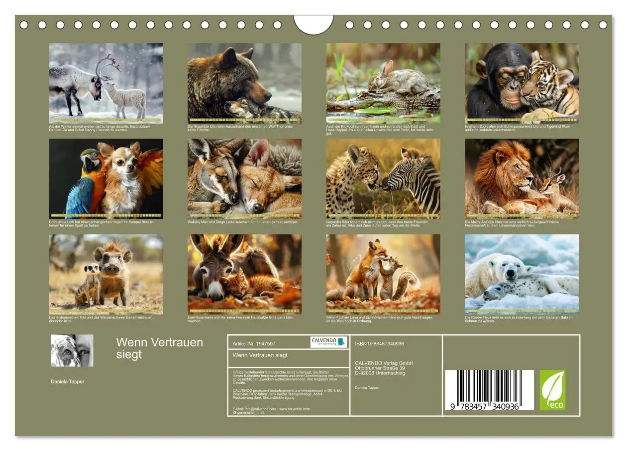 Bild: 9783457340936 | Wenn Vertrauen siegt (Wandkalender 2026 DIN A4 quer), CALVENDO...