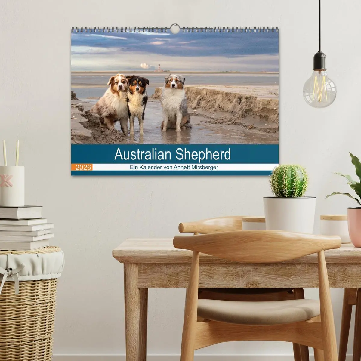 Bild: 9783516120936 | Australian Shepherd 2026 (Wandkalender 2026 DIN A3 quer), CALVENDO...
